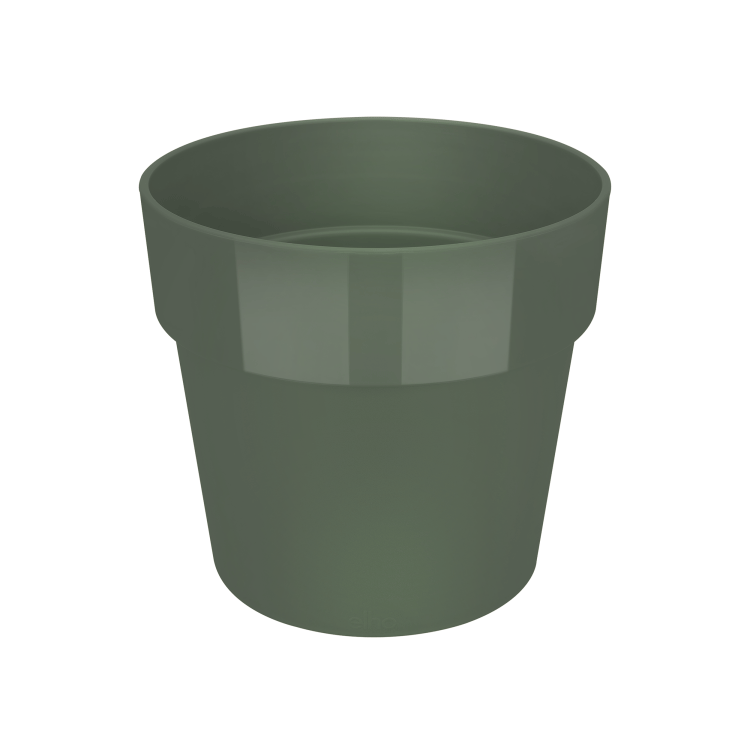 b.for original round 18cm - LEAF Green